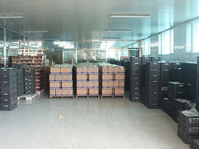 中兴红高梁总厂